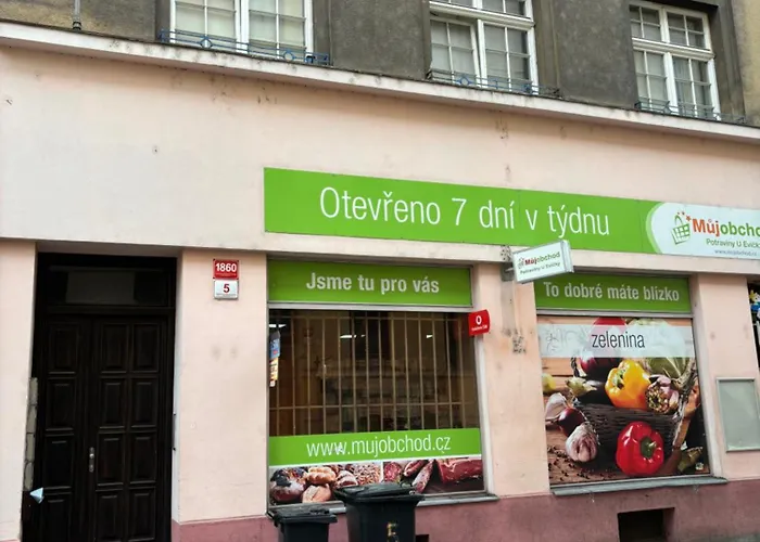 V Centru Mesta 아파트 체스케부데요비체